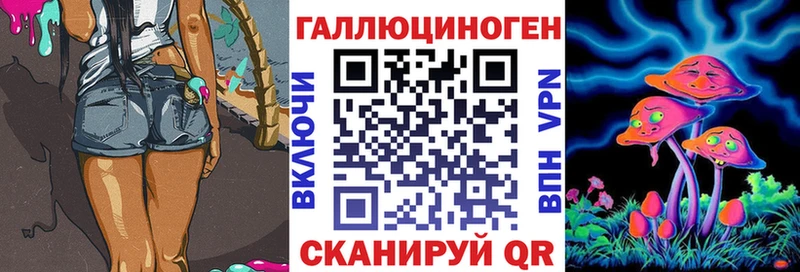 Псилоцибиновые грибы Cubensis  купить  цена  Чадан 